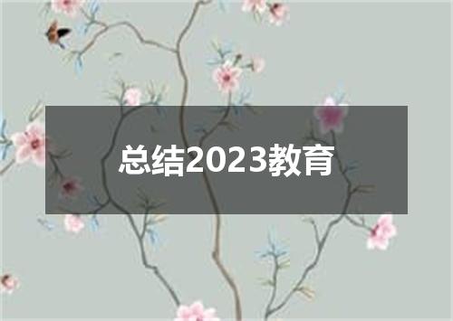 总结2023教育