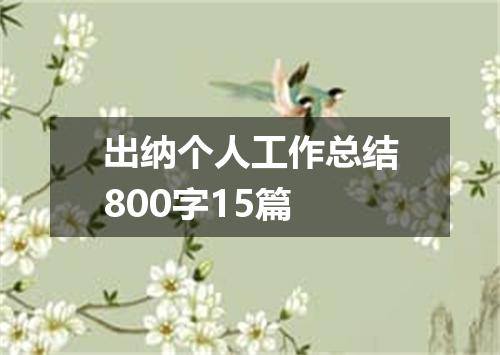 出纳个人工作总结800字15篇