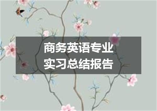 商务英语专业实习总结报告