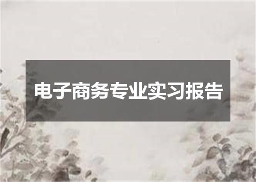 电子商务专业实习报告