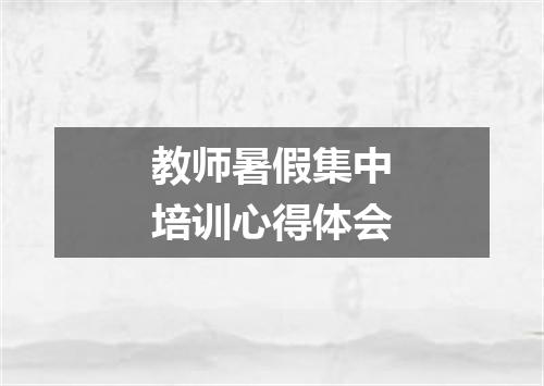 教师暑假集中培训心得体会