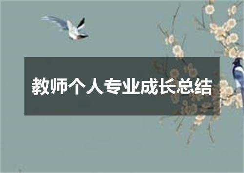 教师个人专业成长总结