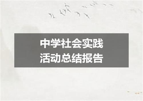 中学社会实践活动总结报告