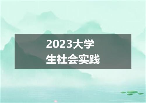 2023大学生社会实践