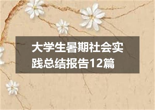 大学生暑期社会实践总结报告12篇