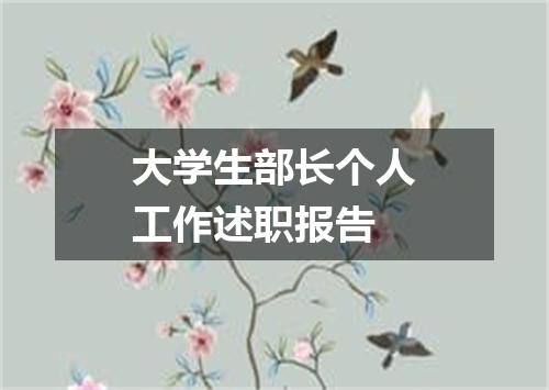 大学生部长个人工作述职报告