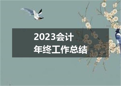 2023会计年终工作总结