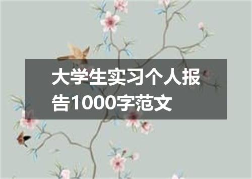 大学生实习个人报告1000字范文