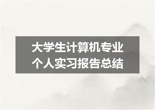 大学生计算机专业个人实习报告总结