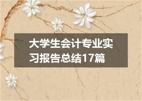大学生会计专业实习报告总结17篇