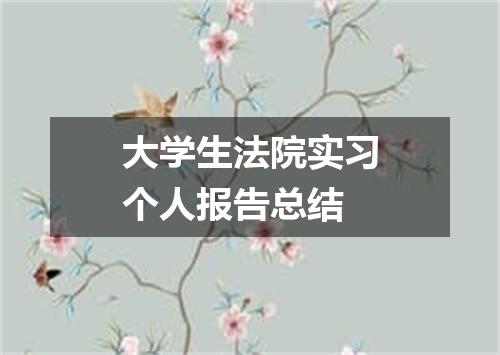 大学生法院实习个人报告总结