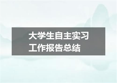 大学生自主实习工作报告总结