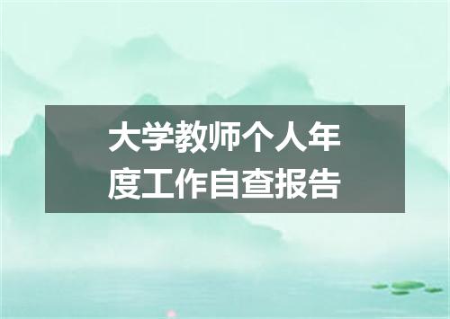 大学教师个人年度工作自查报告