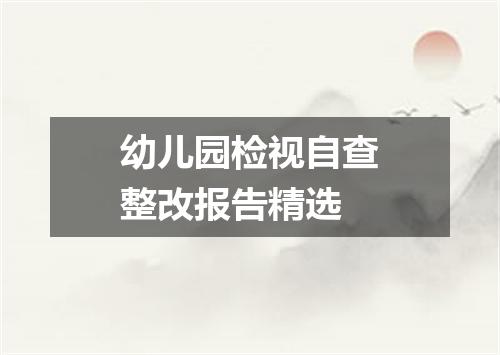 幼儿园检视自查整改报告精选