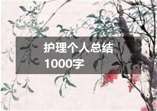 护理个人总结1000字