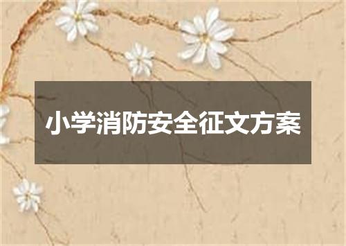 小学消防安全征文方案
