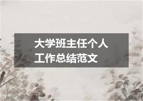 大学班主任个人工作总结范文