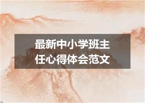 最新中小学班主任心得体会范文