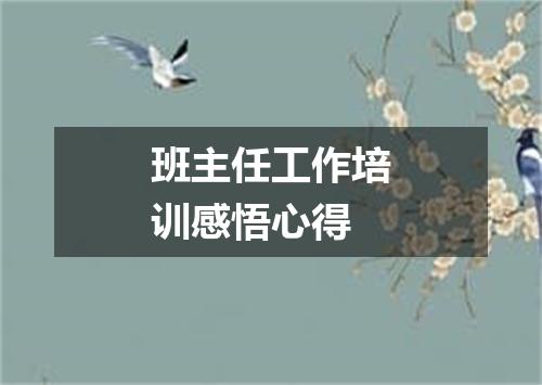班主任工作培训感悟心得