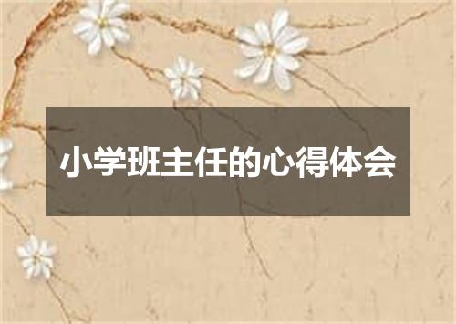 小学班主任的心得体会
