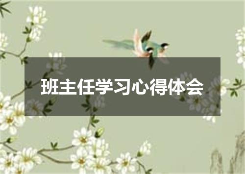 班主任学习心得体会