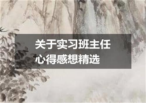 关于实习班主任心得感想精选
