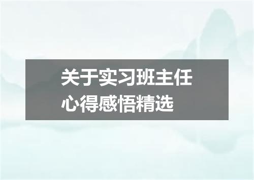 关于实习班主任心得感悟精选