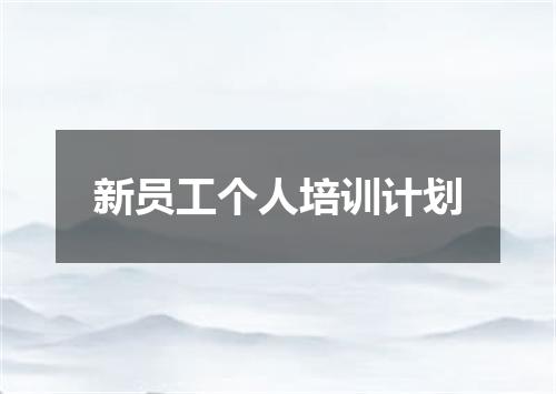新员工个人培训计划