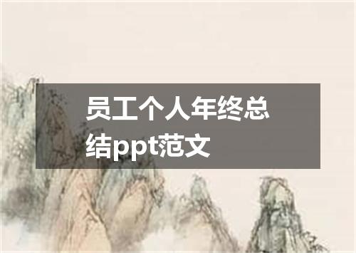 员工个人年终总结ppt范文