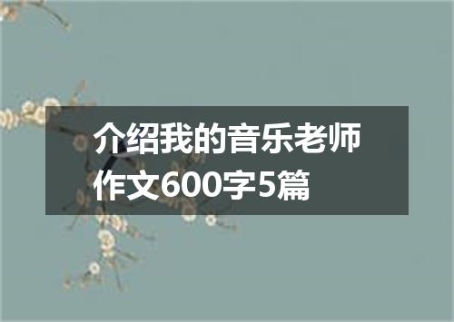 介绍我的音乐老师作文600字5篇