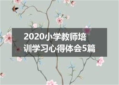 2020小学教师培训学习心得体会5篇