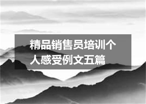 精品销售员培训个人感受例文五篇