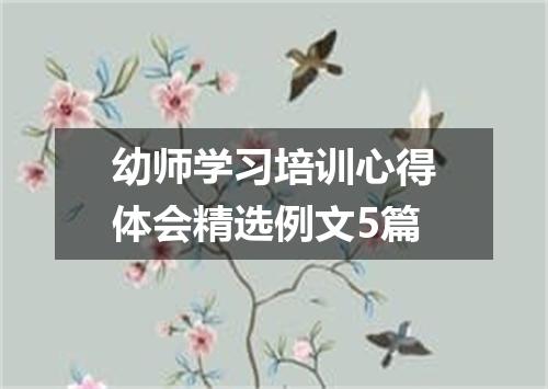幼师学习培训心得体会精选例文5篇