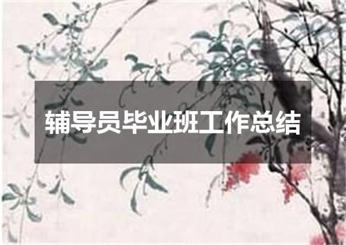 辅导员毕业班工作总结