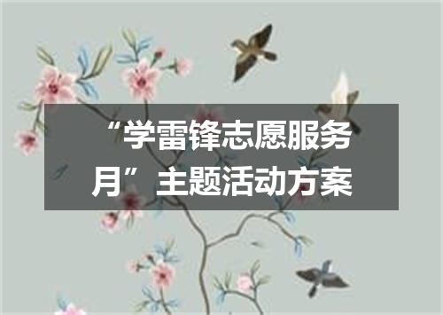 “学雷锋志愿服务月”主题活动方案