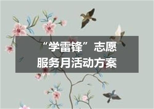 “学雷锋”志愿服务月活动方案