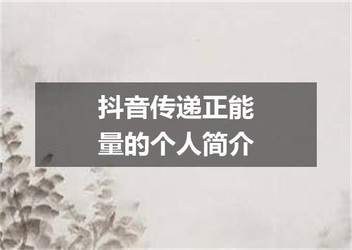 抖音传递正能量的个人简介