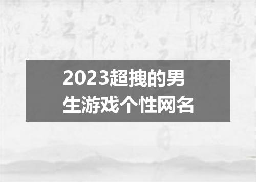 2023超拽的男生游戏个性网名