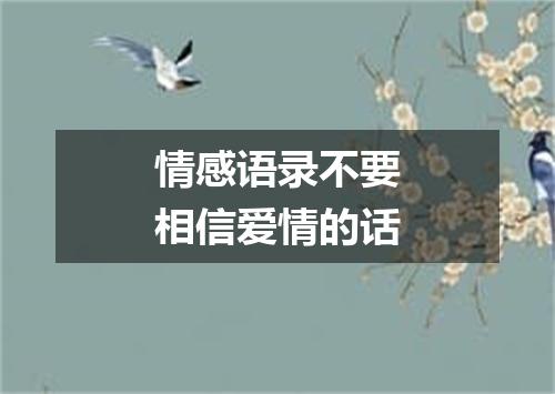 情感语录不要相信爱情的话