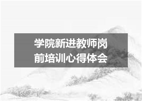 学院新进教师岗前培训心得体会