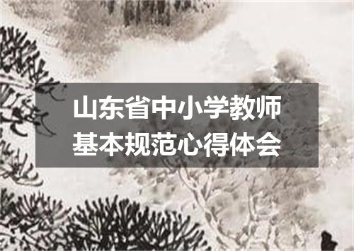 山东省中小学教师基本规范心得体会