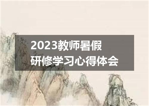 2023教师暑假研修学习心得体会