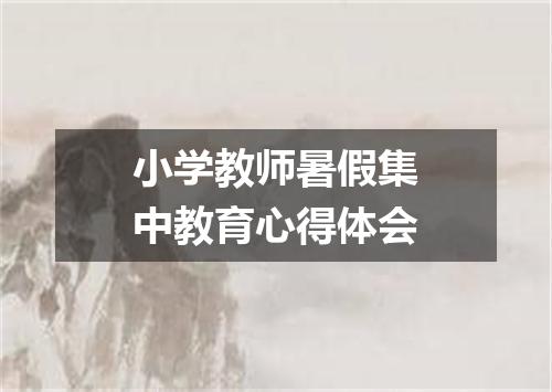 小学教师暑假集中教育心得体会