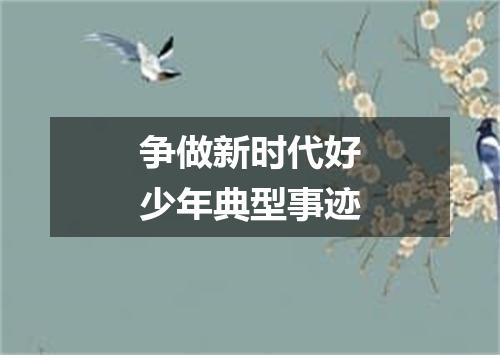 争做新时代好少年典型事迹