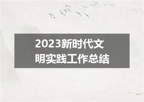 2023新时代文明实践工作总结
