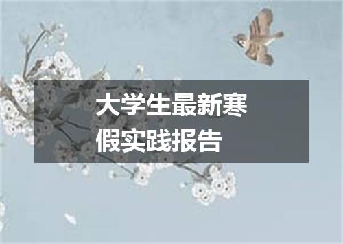 大学生最新寒假实践报告