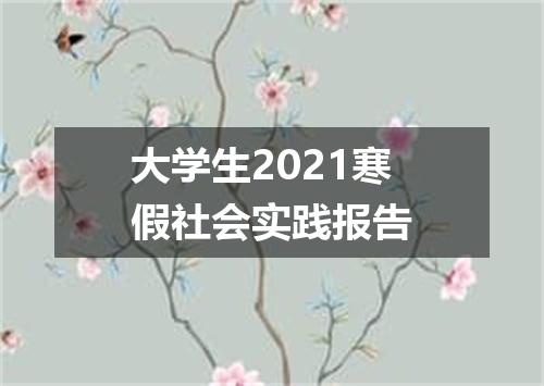 大学生2021寒假社会实践报告