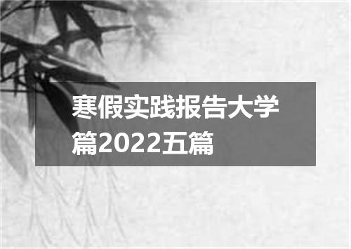 寒假实践报告大学篇2022五篇