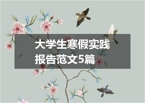 大学生寒假实践报告范文5篇
