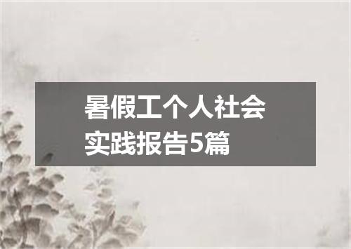 暑假工个人社会实践报告5篇